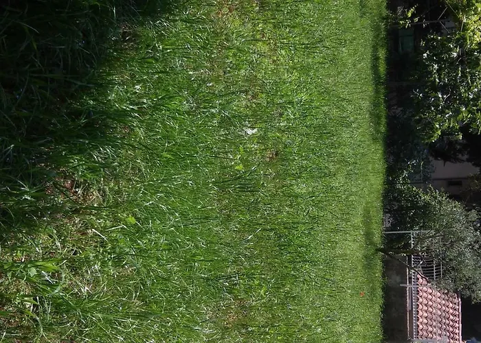 Apartment For Holidays In *