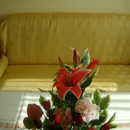 For Holidays In * Pula