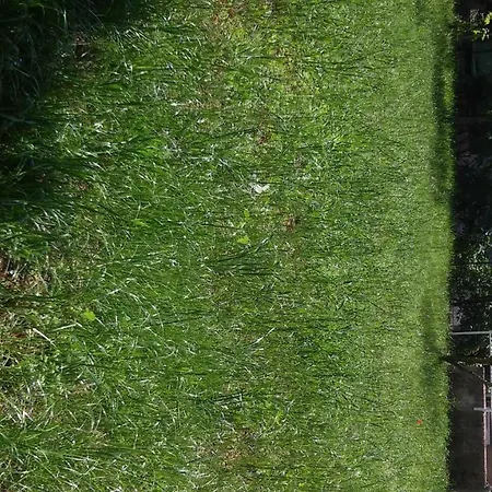 Apartment For Holidays In *